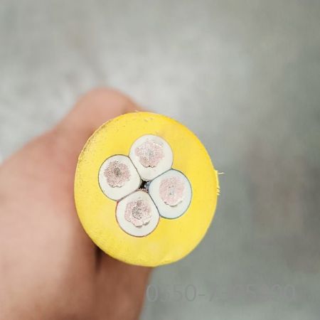 尊龙人生就是博·Z6「中国区」首页官网