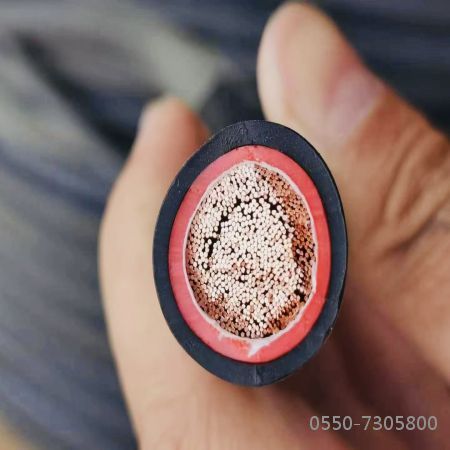 尊龙人生就是博·Z6「中国区」首页官网