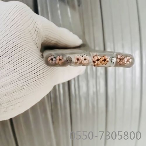 �����������ǲ���Z6���й�������ҳ����