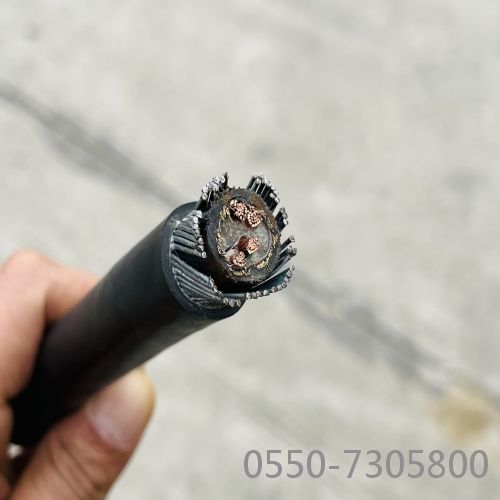 �����������ǲ���Z6���й�������ҳ����