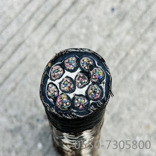 �����������ǲ���Z6���й�������ҳ����