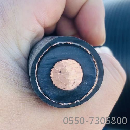 �����������ǲ���Z6���й�������ҳ����