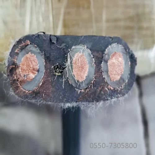 �����������ǲ���Z6���й�������ҳ����