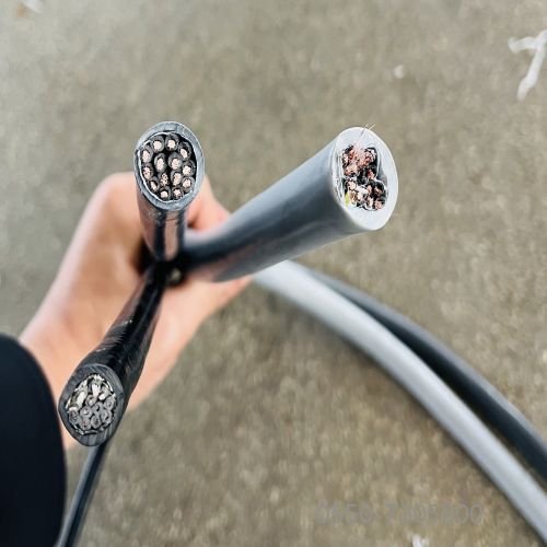 尊龙人生就是博·Z6「中国区」首页官网