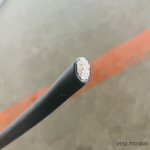 �����������ǲ���Z6���й�������ҳ����