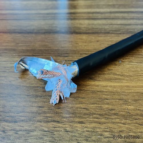 尊龙人生就是博·Z6「中国区」首页官网