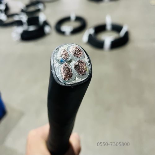 �����������ǲ���Z6���й�������ҳ����