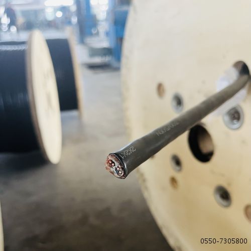 �����������ǲ���Z6���й�������ҳ����