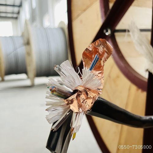 �����������ǲ���Z6���й�������ҳ����