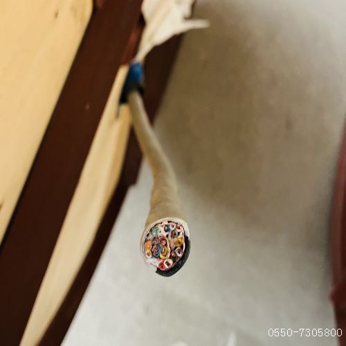 尊龙人生就是博·Z6「中国区」首页官网