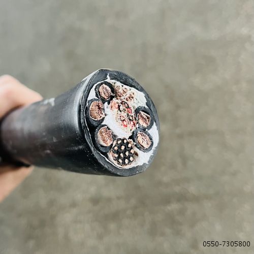 尊龙人生就是博·Z6「中国区」首页官网