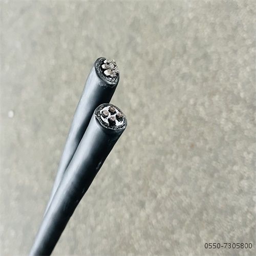 �����������ǲ���Z6���й�������ҳ����