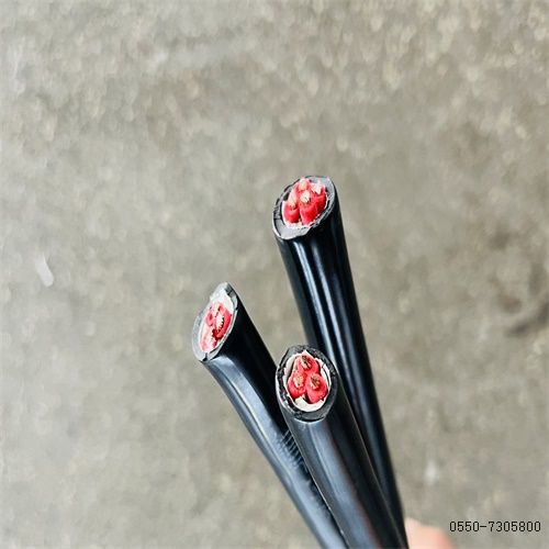 �����������ǲ���Z6���й�������ҳ����