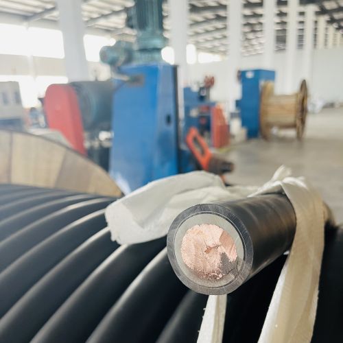 �����������ǲ���Z6���й�������ҳ����