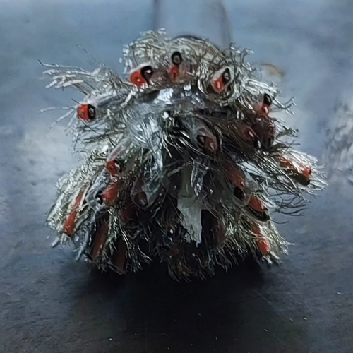 �����������ǲ���Z6���й�������ҳ����