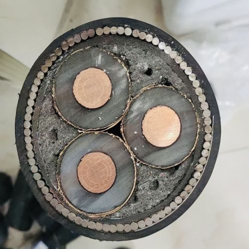 �����������ǲ���Z6���й�������ҳ����