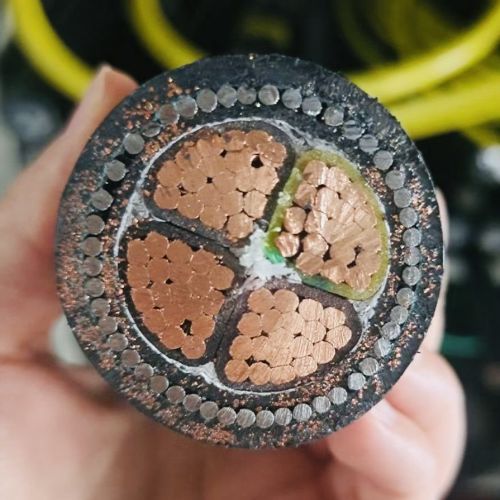 �����������ǲ���Z6���й�������ҳ����