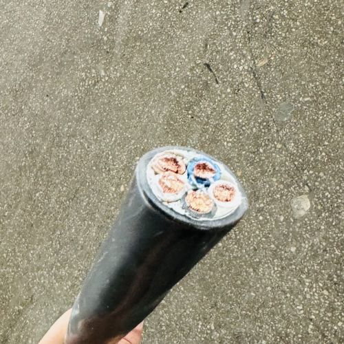 �����������ǲ���Z6���й�������ҳ����