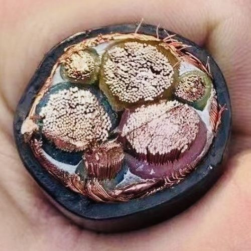 �����������ǲ���Z6���й�������ҳ����