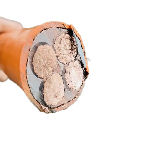 �����������ǲ���Z6���й�������ҳ����