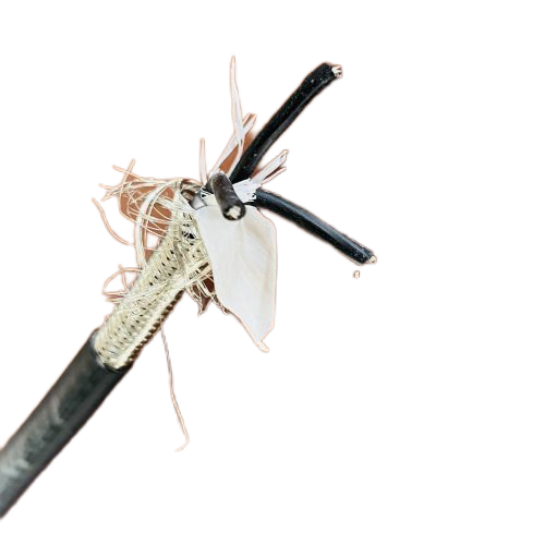 尊龙人生就是博·Z6「中国区」首页官网