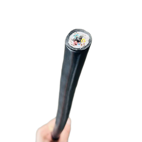 尊龙人生就是博·Z6「中国区」首页官网