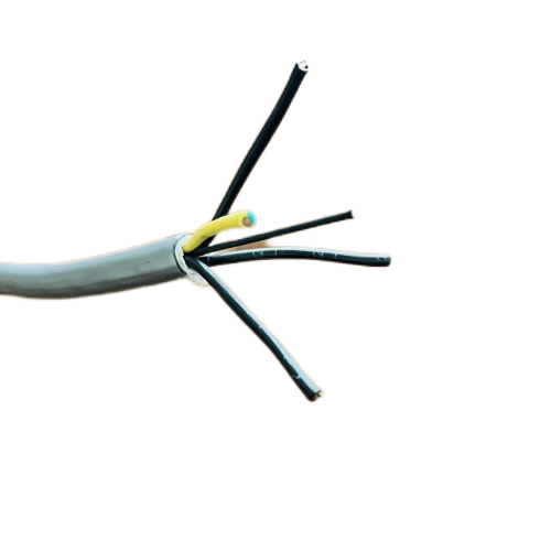 �����������ǲ���Z6���й�������ҳ����