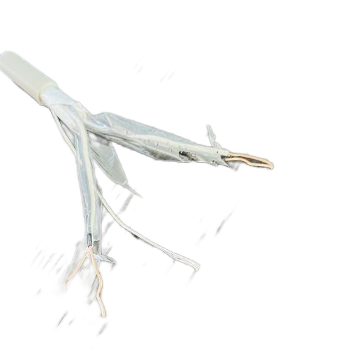 �����������ǲ���Z6���й�������ҳ����