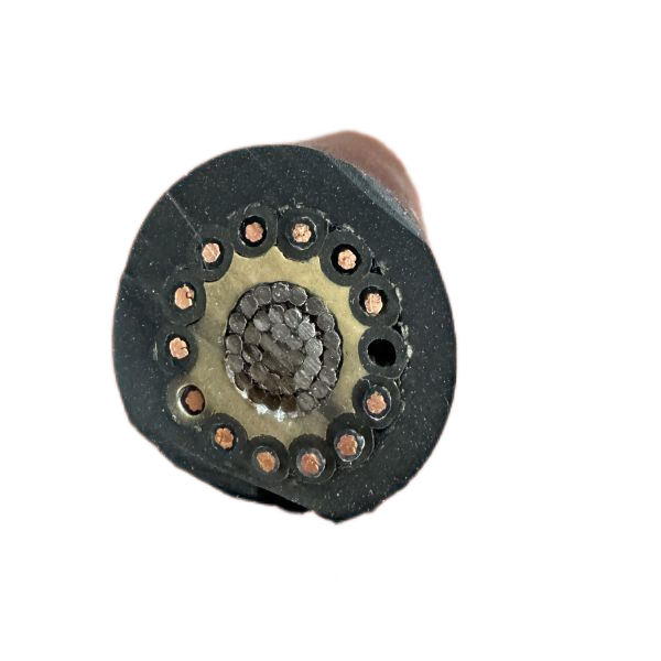 尊龙人生就是博·Z6「中国区」首页官网