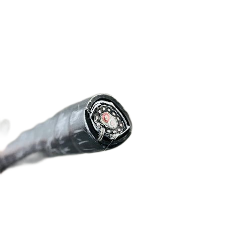 尊龙人生就是博·Z6「中国区」首页官网