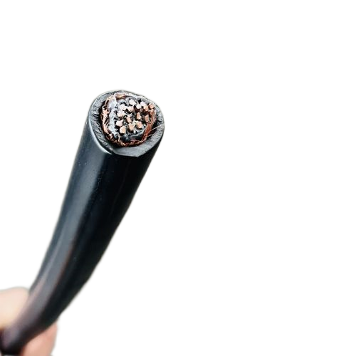 尊龙人生就是博·Z6「中国区」首页官网