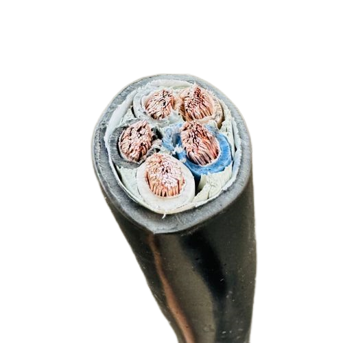 尊龙人生就是博·Z6「中国区」首页官网