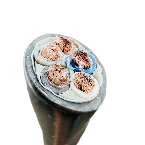 尊龙人生就是博·Z6「中国区」首页官网