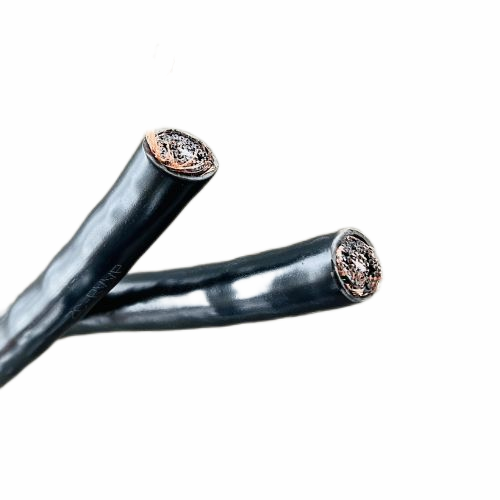 尊龙人生就是博·Z6「中国区」首页官网