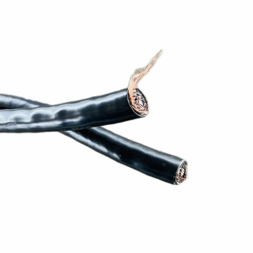 尊龙人生就是博·Z6「中国区」首页官网