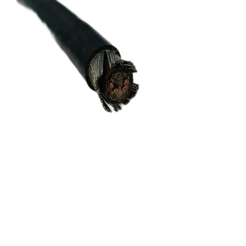 �����������ǲ���Z6���й�������ҳ����