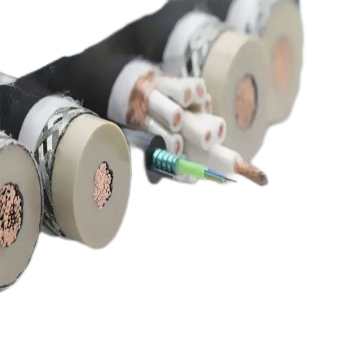 �����������ǲ���Z6���й�������ҳ����