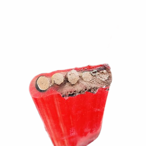 �����������ǲ���Z6���й�������ҳ����