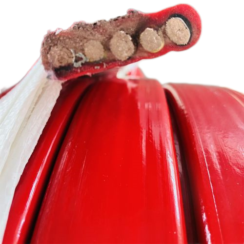 �����������ǲ���Z6���й�������ҳ����