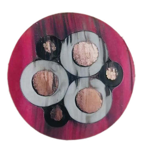 尊龙人生就是博·Z6「中国区」首页官网