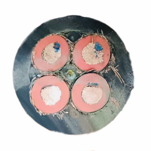 �����������ǲ���Z6���й�������ҳ����