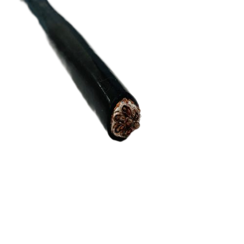 尊龙人生就是博·Z6「中国区」首页官网