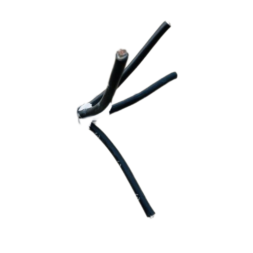 �����������ǲ���Z6���й�������ҳ����