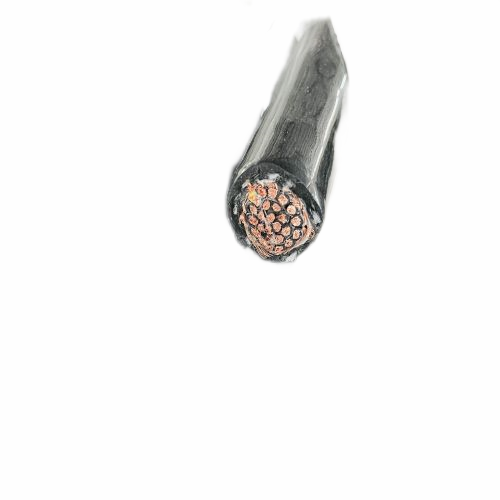 尊龙人生就是博·Z6「中国区」首页官网