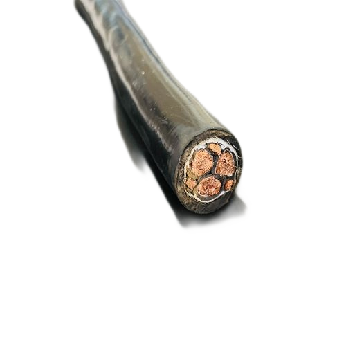 �����������ǲ���Z6���й�������ҳ����