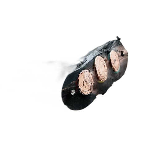 尊龙人生就是博·Z6「中国区」首页官网