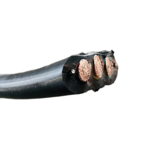 尊龙人生就是博·Z6「中国区」首页官网