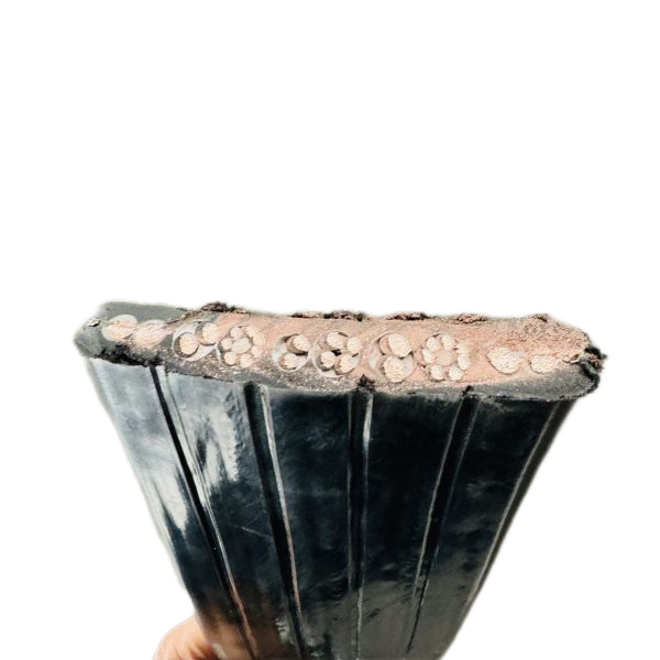 �����������ǲ���Z6���й�������ҳ����