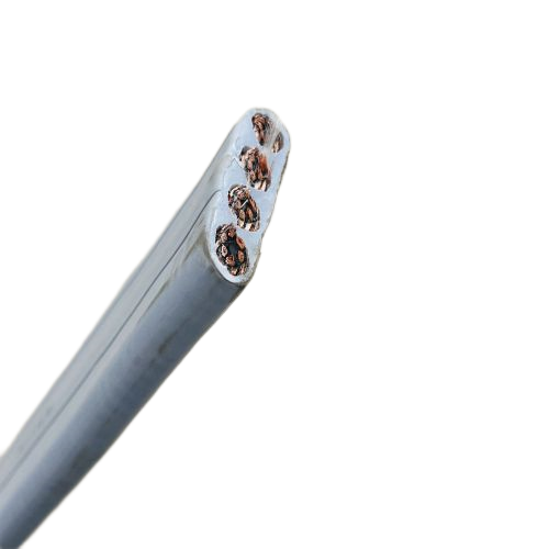 尊龙人生就是博·Z6「中国区」首页官网