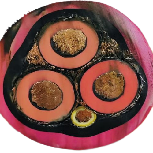 �����������ǲ���Z6���й�������ҳ����